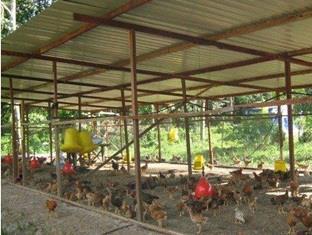 Homestay Bukit Gantang Hotel ไทปิง ภายนอก รูปภาพ